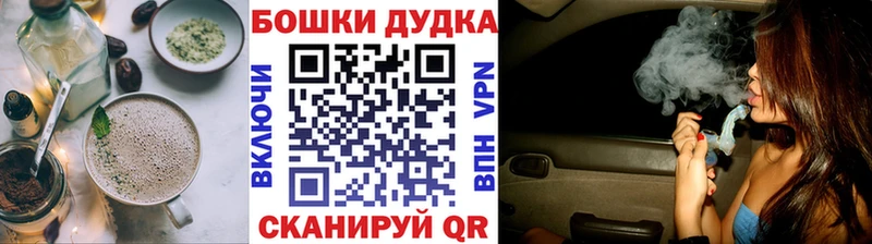 ссылка на мегу как зайти  Новодвинск  Canna-Cookies марихуана 