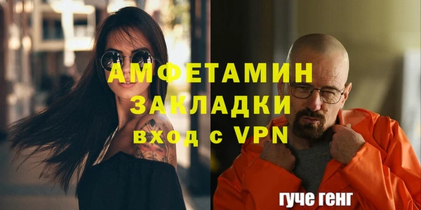прущие грибы Богородицк