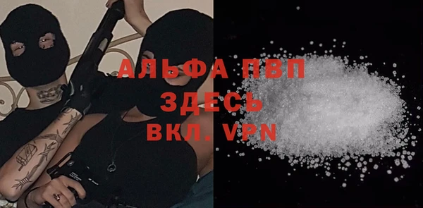 молекула духа Богородск