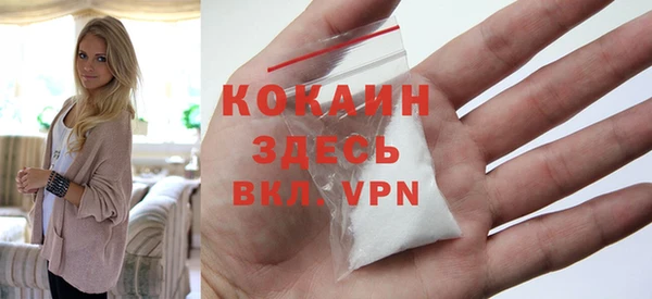 прущие грибы Богородицк