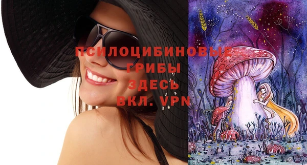 молекула духа Богородск
