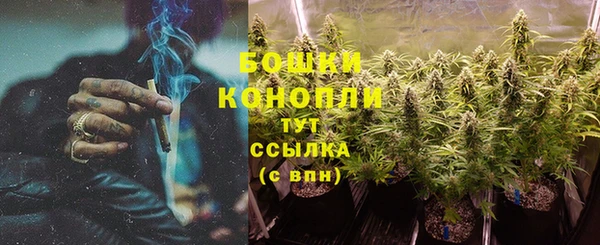 прущие грибы Богородицк