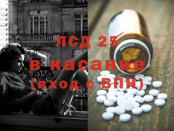 прущие грибы Богородицк