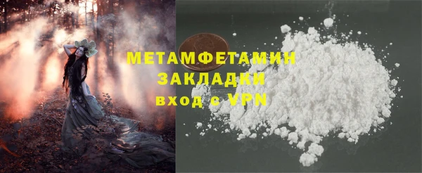 прущие грибы Богородицк