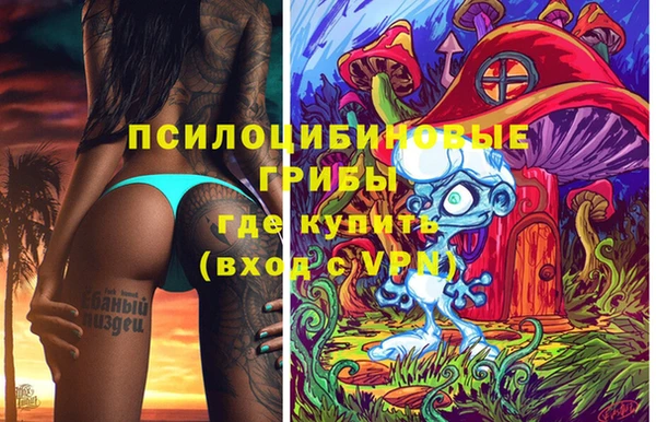мдма Богданович